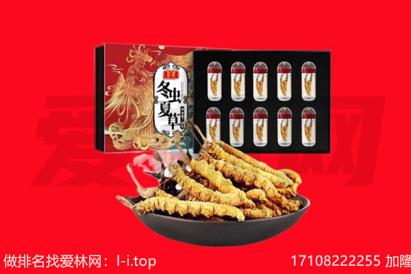 呼伦贝尔回收虫草.jpg